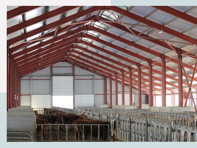 Строительство коровников в Борисоглебске