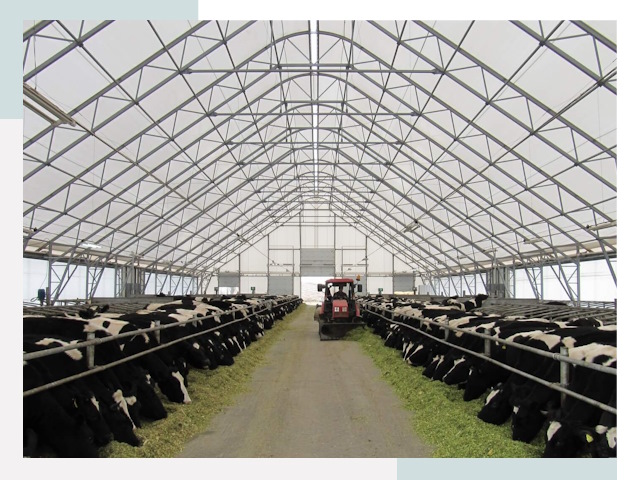 Тентовые коровники в Борисоглебске от 624 руб. - Надежно и доступно