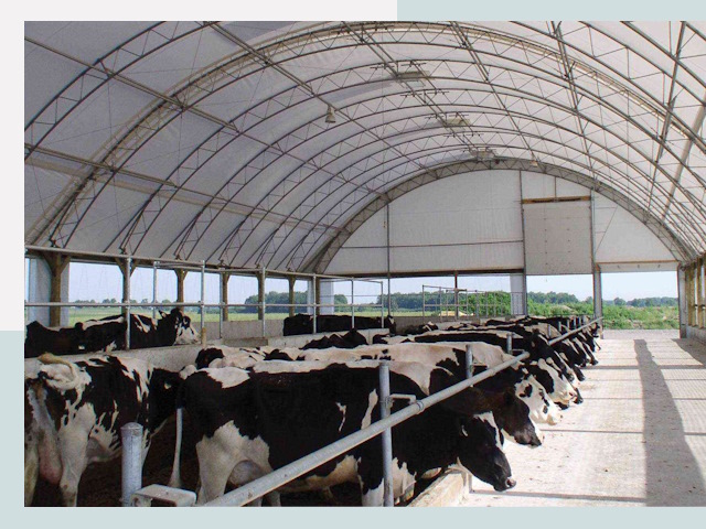 Тентовые коровники в Борисоглебске